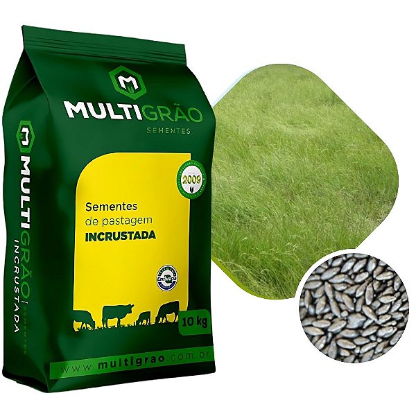 Brachiaria Humidícola Llanero Incrustado 10 kg