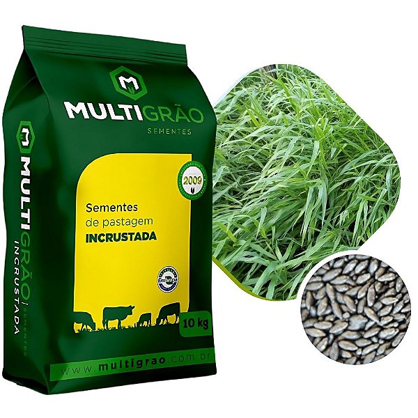 Brachiaria Decumbens Sementes Incrustadas 10kg