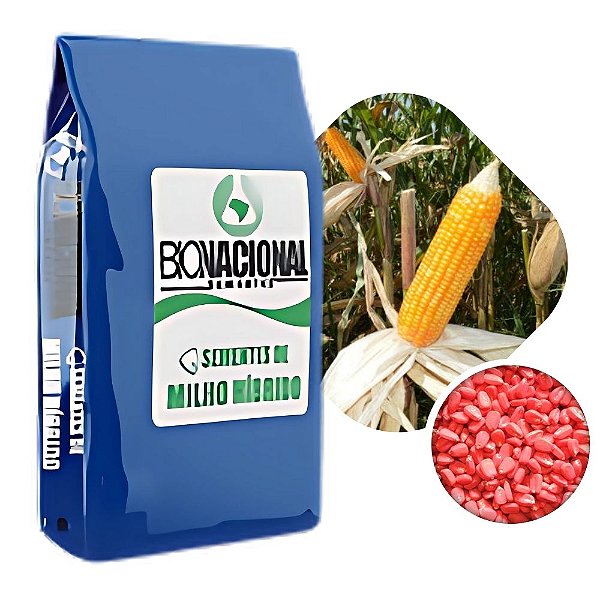Milho Híbrido Órion 20kg