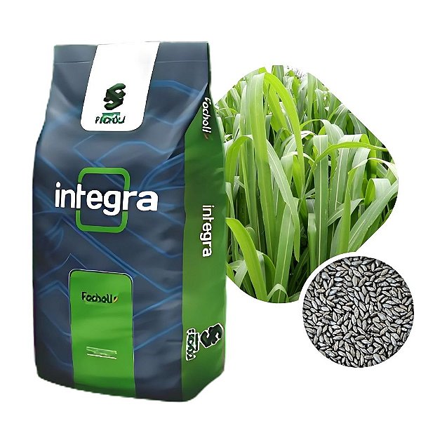 Capim Mombaça Incrustado Focholi ìntegra 10kg