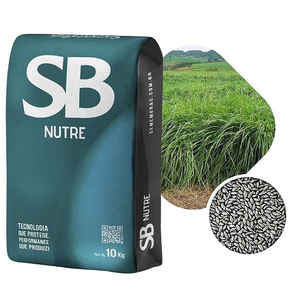 Capim Massai Incrustado SBS Nutre 10kg
