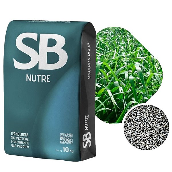 Capim Mombaça Incrustado SBS Nutre 10kg