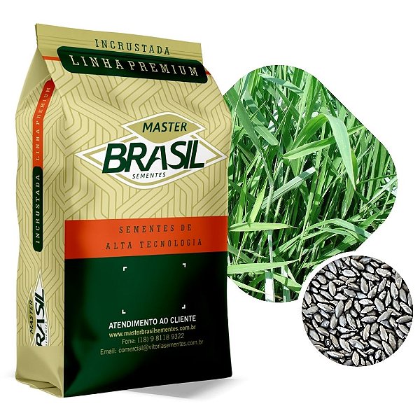 Brachiaria BRS Piatã Sementes Incrustadas - 10kg