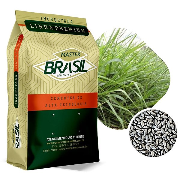 Brachiaria Ruziziensis Sementes Incrustadas 10kg #