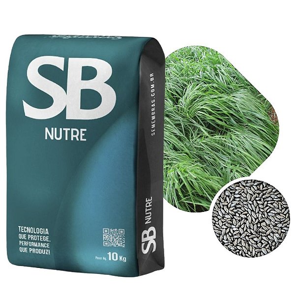 Capim BRS Tamani Incrustada SBS Nutri 10kg