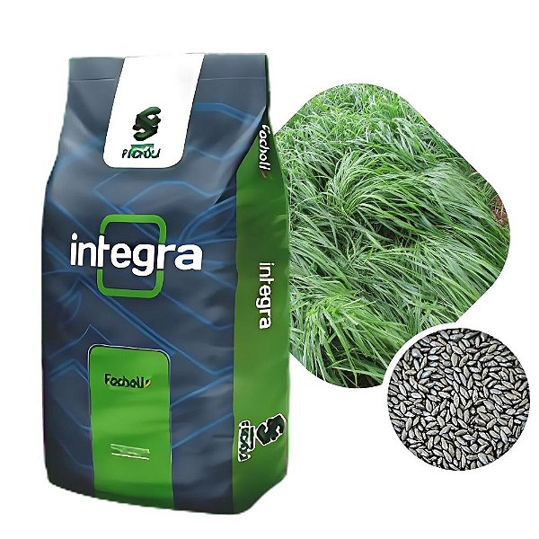 Capim BRS Tamani Facholi Integra c/ sementes incrustadas 10kg