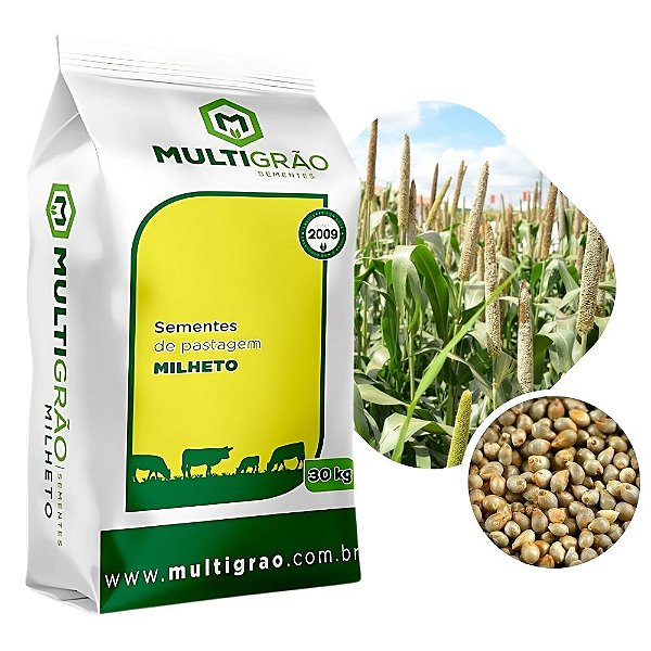 Sementes de Milheto BRS 1501 - 30kg