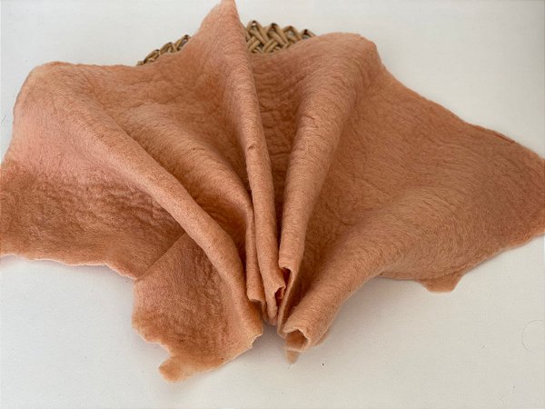 Layer Feltrada Salmão