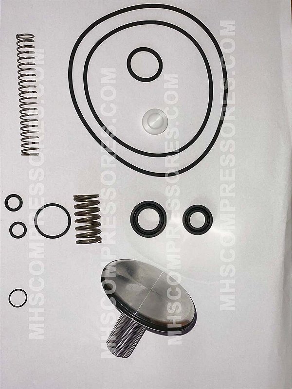 KIT DE REPARO VÁLVULA DE ADMISSÃO - PUMA SYSTEM - 148.050