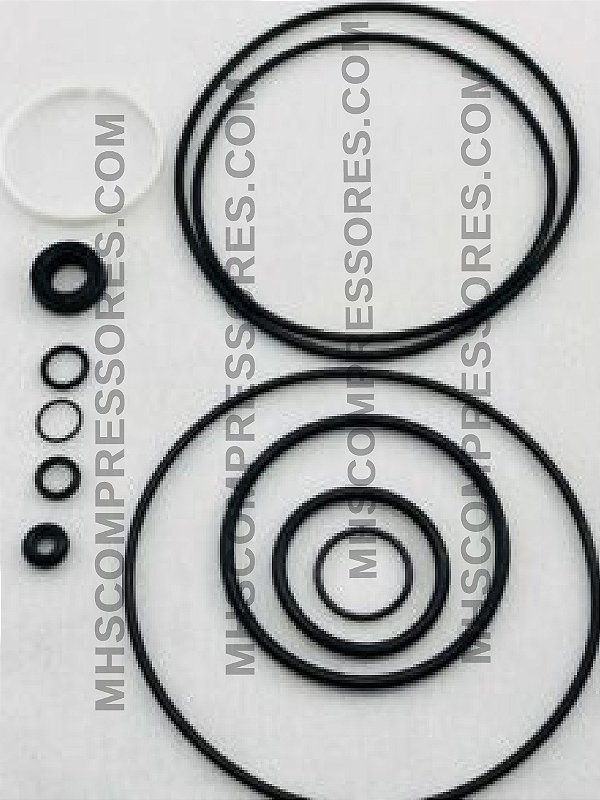 KIT REPARO VALVULA ADMISSÃO ROTOR - SIMILAR - 3060214