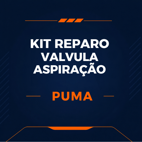 KIT DE REPARO VÁLVULA ASPIRAÇÃO - PUMA SYSTEM - 148.134
