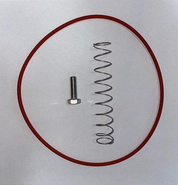KIT REPARO VÁLVULA ADMISSÃO - 2901.2050-00