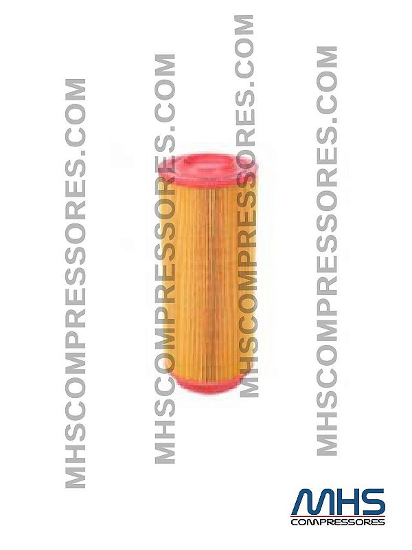 FILTRO DE AR - ELGI - B005700770006