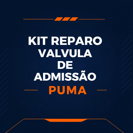 KIT DE REPARO DA VÁLVULA DE ADMISSÃO - SIMILAR - 2200900951