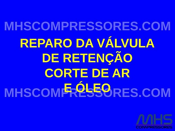 KIT DE REPARO DA VÁLVULA DE RETENÇÃO CORTE DE AR E ÓLEO - 2901203800