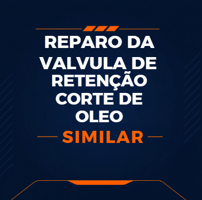 KIT DE REPARO DA VÁLVULA DE RETENÇÃO CORTE DE AR E ÓLEO - SIMILAR ATLAS COPCO - 2901201800