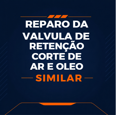 KIT DE REPARO DA VÁLVULA DE RETENÇÃO CORTE DE AR E ÓLEO - 2901196000