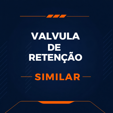 VÁLVULA DE RETENÇÃO - SIMILAR SULLAIR E INGERSOLL RAND - 408893