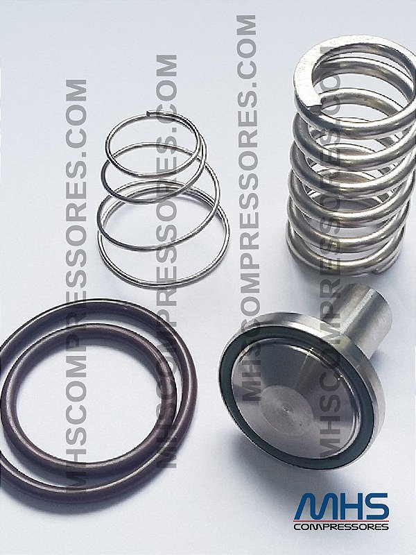 KIT REPARO DA VÁLVULA DE PRESSÃO MÍNIMA - SIMILAR - 3060584