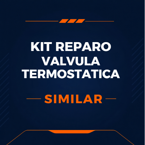 KIT DE REPARO DA VÁLVULA TERMOSTÁTICA - SIMILAR - 3060648