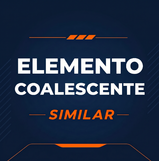 ELEMENTO FILTRANTE - EF0040F - SIMILAR