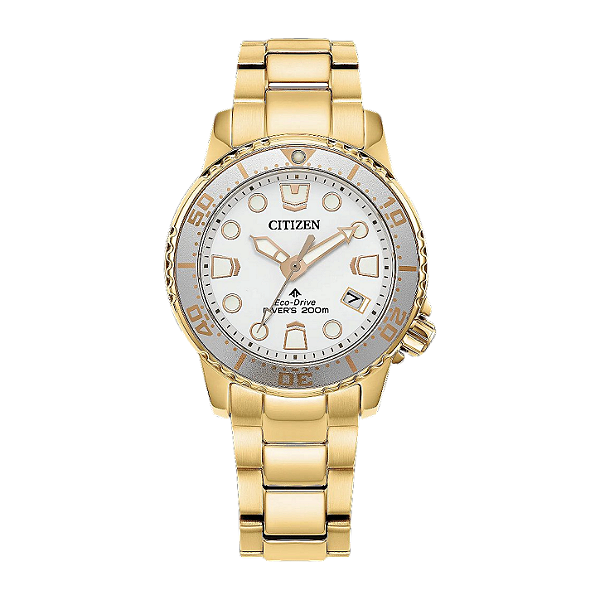 Citizen Promaster