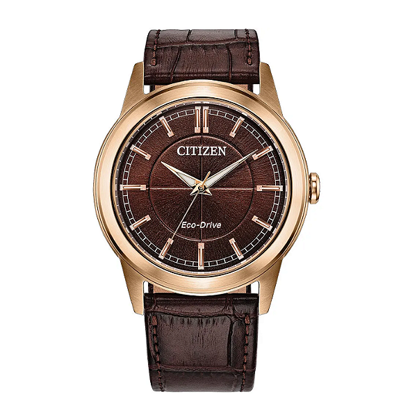 Citizen Rolan