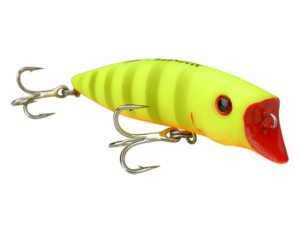 Isca Lori Magnet 75