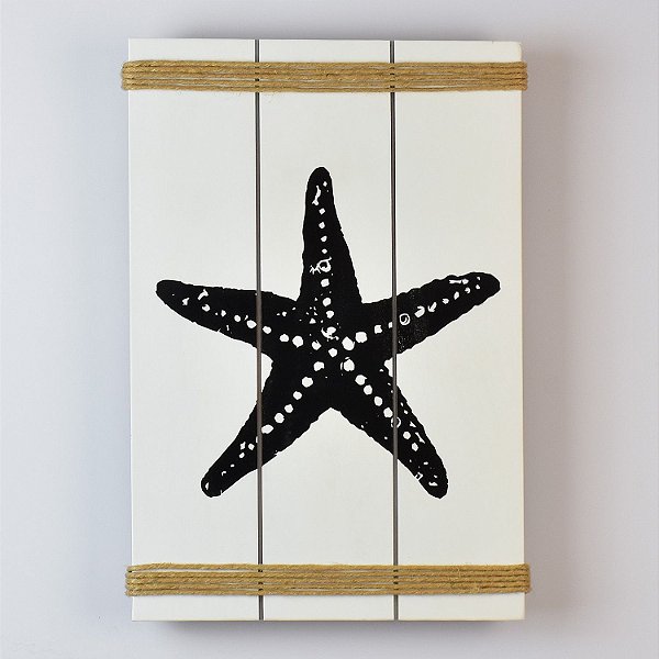 Quadro Estrela Branco 35 cm