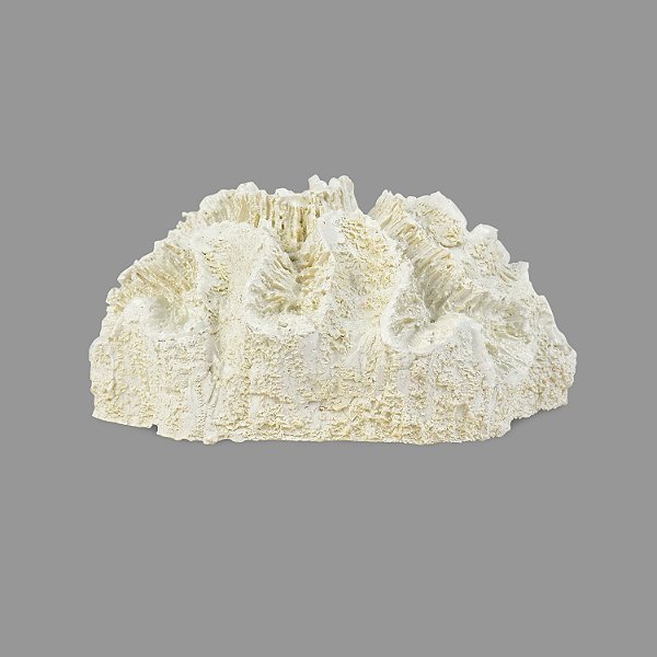 Enfeite Coral Branco