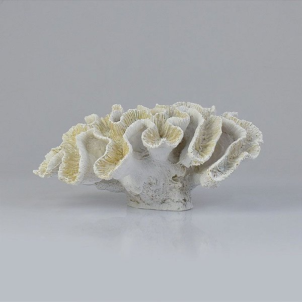 Enfeite Coral 25 cm Branco
