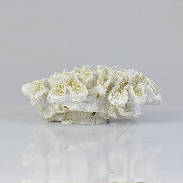Enfeite Coral Branco 18 cm