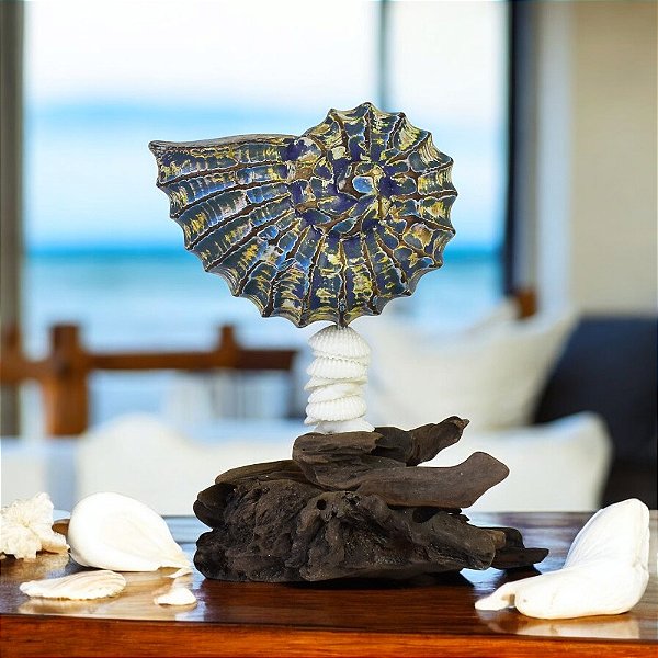 Enfeite Pedestal Concha Azul em Madeira