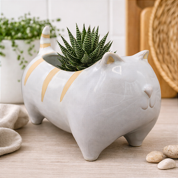 Vaso De Gato Listrado