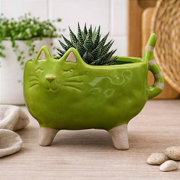 Vasos De Gato Largo Verde