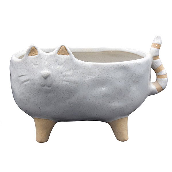 Vasos De Gato Largo Azul