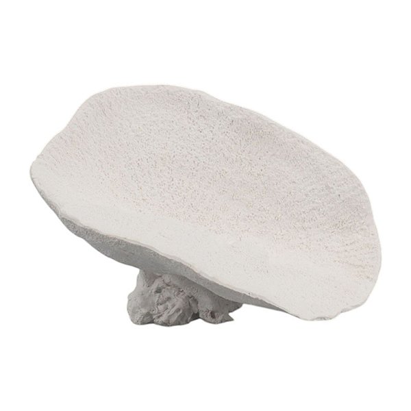 Porta Obejtos De Coral Pequeno