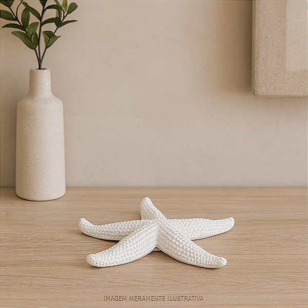 Estrela Do Mar Com Textura Resina