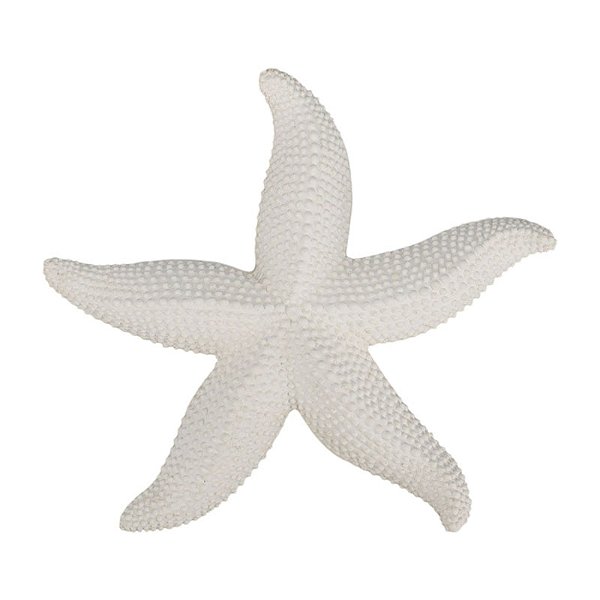 Estrela Do Mar Com Textura Resina