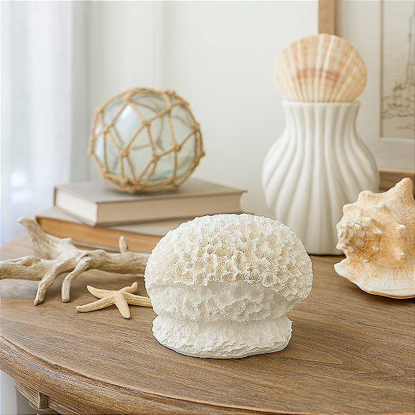 Coral Cerebro Em Resina