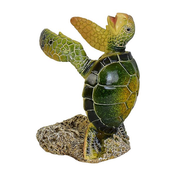 Porta Garrafa De Tartaruga Em Pé