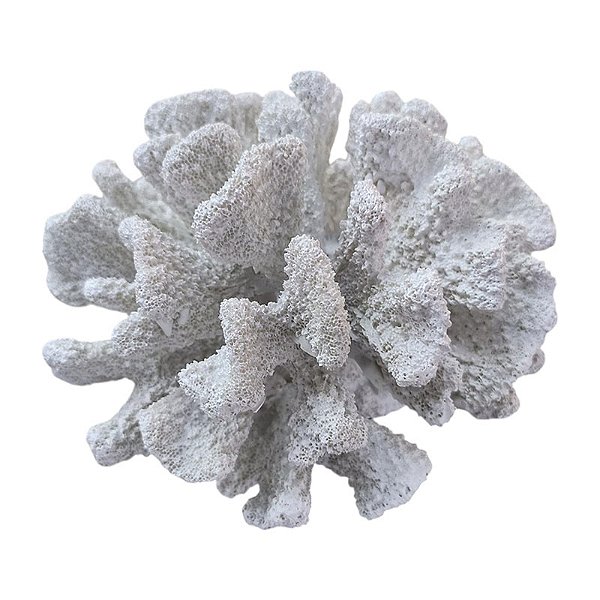 Coral Branco 3D 16Cm