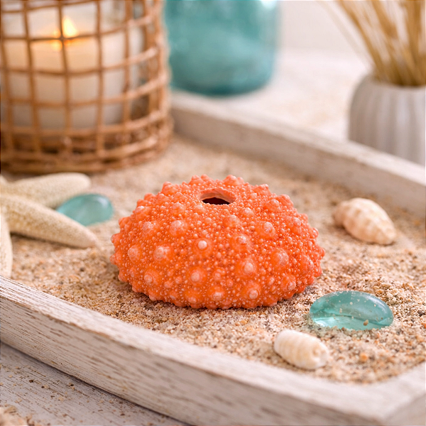 Coral Ouriço Do Mar Com Furo Vermelho