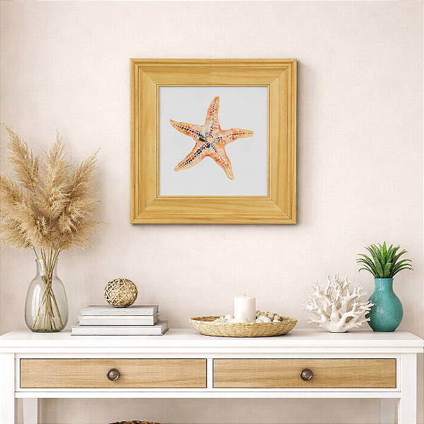 Quadro Estrela Do Mar Bege