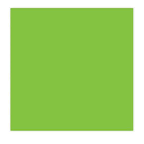 Placa EVA Verde Claro 40X48cm  - Silver Plastic