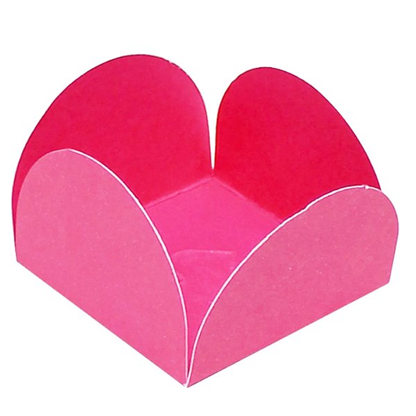 Caixeta Pink 50un - Regina
