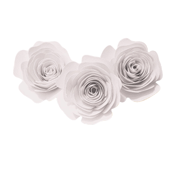 Topo de Bolo Rosas P Branca 3un - Amora