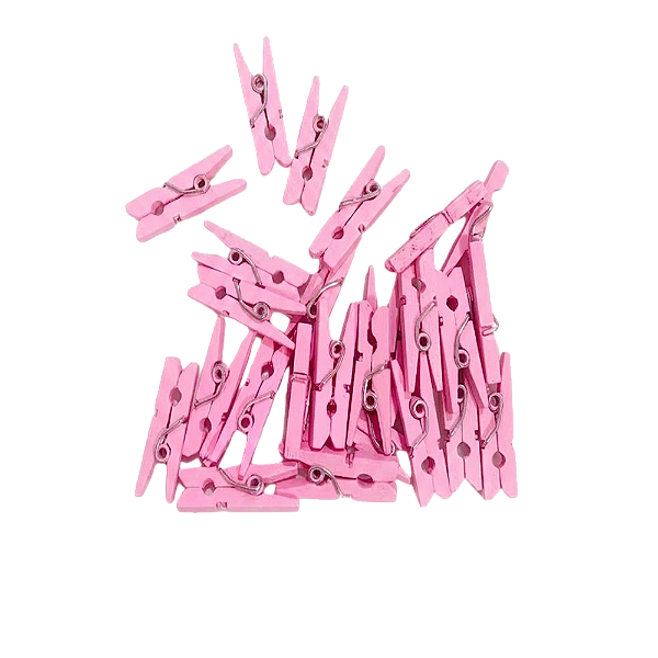 Mini Pregador Rosa 2,5cm 50un - Art Lille