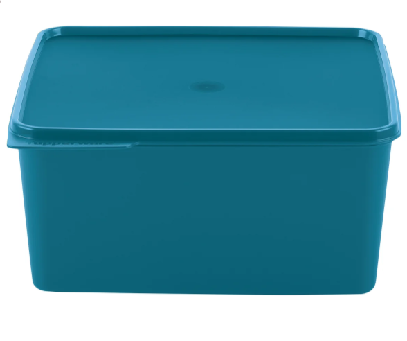 Pote Hermético Tupperware Basic Line 5 Litros