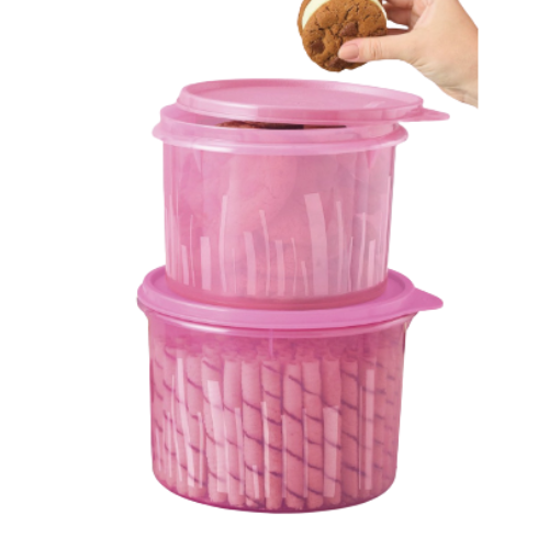 Tupperware Kit Caixa Estilo 2 Peças